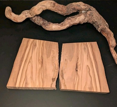 Olivenholz edelholz maserholz - olivenholz,
