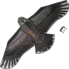 Großer Adler Vogeldrachen