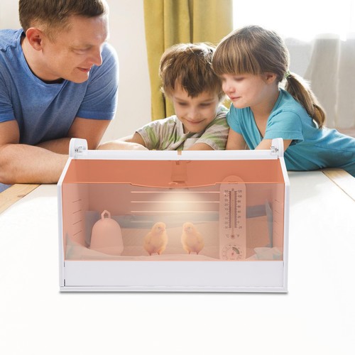 Brutinkubator aufzuchtbox - brutinkubator,