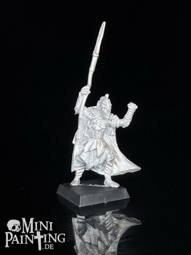Warhammer fantasy wood - fantasy,