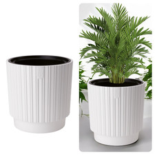 Blumenkübel Blumentopf mit