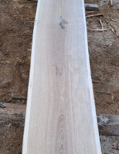 Schwartenbrett eiche 100 - 100, cm