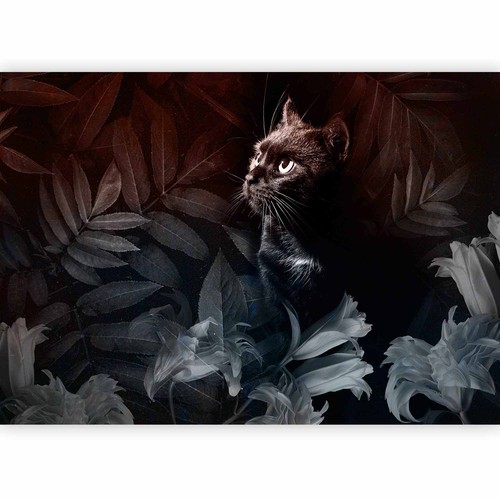 Katze blätter vlies - blÄtter,