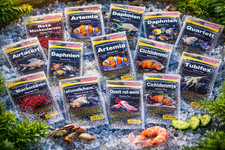 Frostfutter Zierfische 20x100g