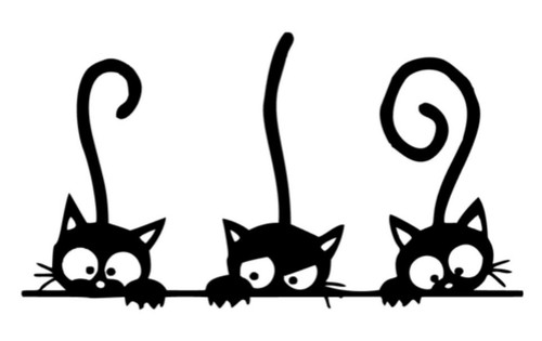 Katzen lustig auto - ,