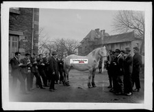 Alte Foto Glasplatte Negativ