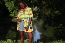 Vintage Gelb Schmetterling