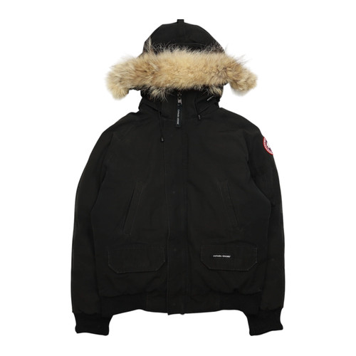 Canada goose chillwack - canada,