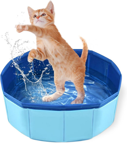 Katzenpool 10 cm - 30, ×