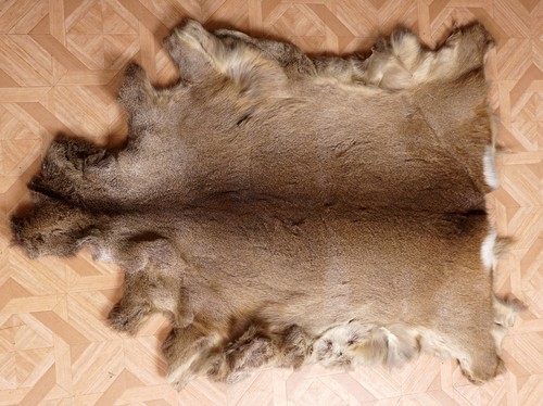 Schönes rehfell roe deer fur - deer,