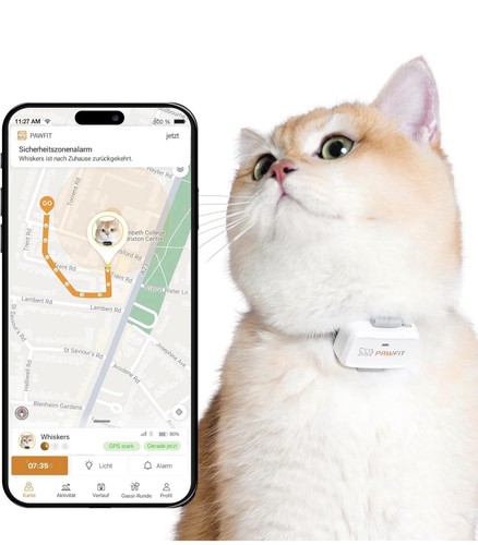 Pawfit lite für katzen - pawfit,