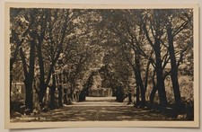 Simbach inn c1930 baumallee - am,