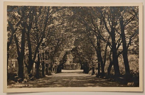 Simbach inn c1930 baumallee - am,