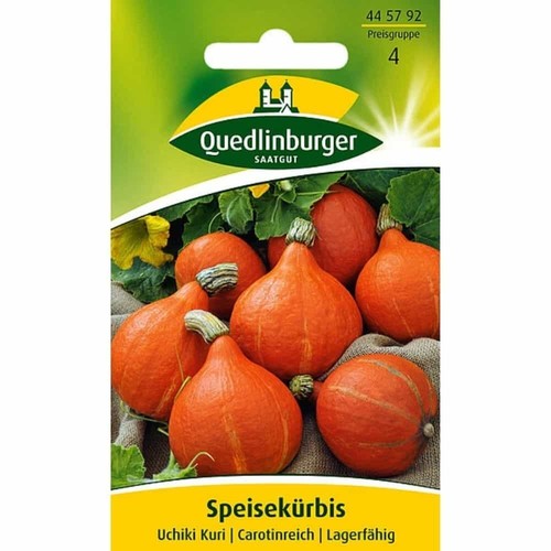 Speisekürbis uchiki kuri - speisekürbis,