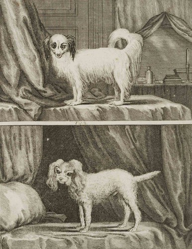 Sève - j., (1742-1788)