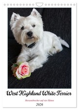 West Highland White Terrier -