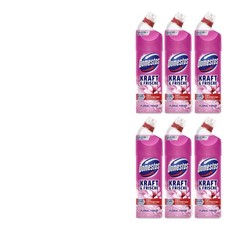 6x750ml Domestos Kraft & Frische | WC Gel | Kalk & Schmutz | Floral Fresh