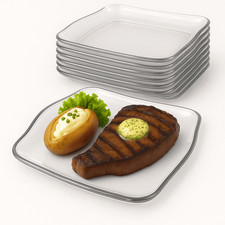 12 Speiseteller Hochwertige