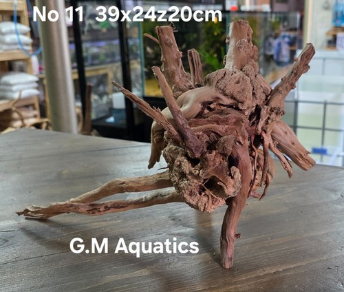 Spider slim holz aquascape - /,