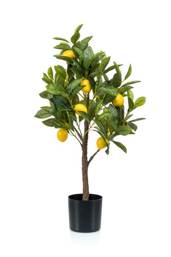 Künstlicher zitronenbaum - zitronenbaum, im