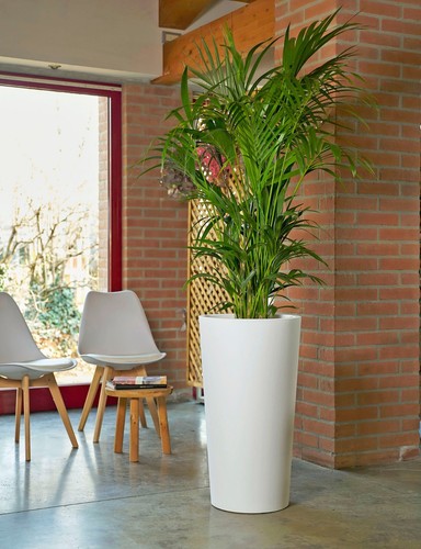 Blumentopf mit pflanzeinsatz - mit,