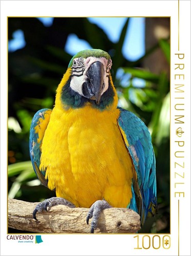 Calvendo puzzle stolzer - calvendo,