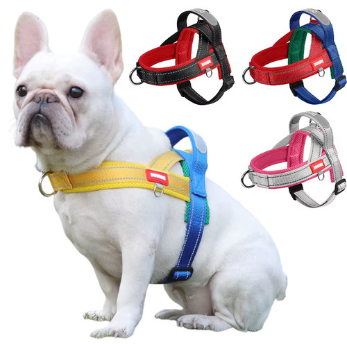 Hundegeschirr satteltyp - hundegeschirr,