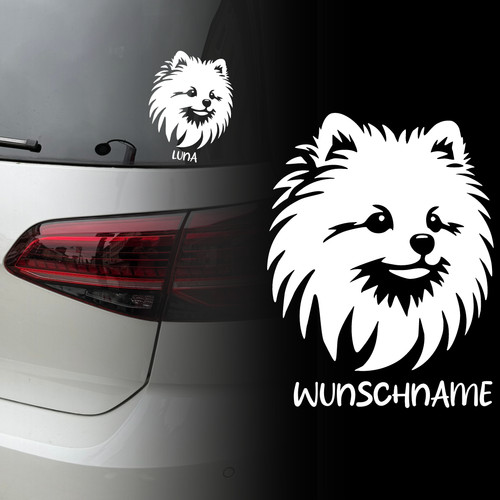 Auto aufkleber zwergspitz - auto, |