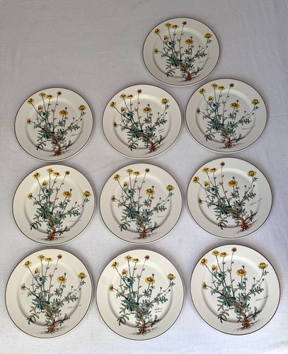 Villeroy boch botanica 10 - &,