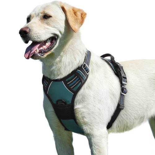 Hundegeschirr grosse hunde - hundegeschirr,