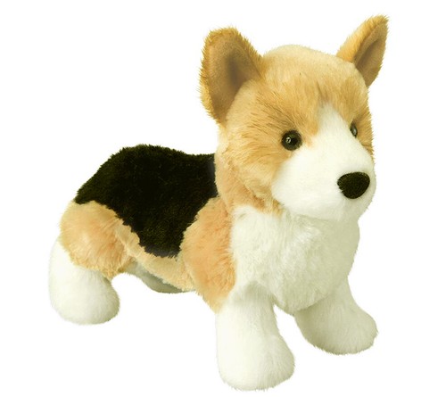 Tri corgi shorty hund - tri-corgi,