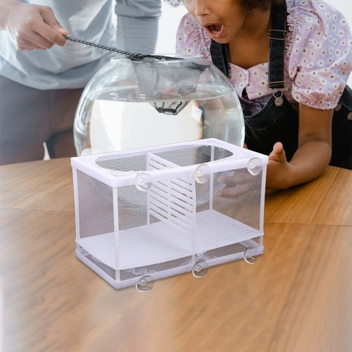 Aquariumzubehör isoliertes - aquariumzubehör,