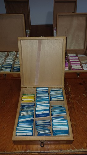 Konvolut holzkassetten - 5,