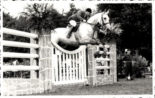 Foto springreiten sprung - ak, springreiten,