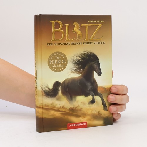 Blitz der schwarze - der, hengst