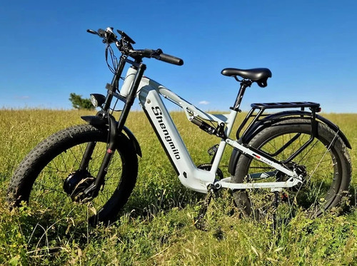 Dual motor 2000w - dual,