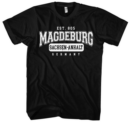 College city magdeburg - college,