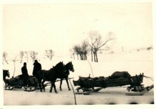 Foto, Wk2, Schlitten Transport in Polen (N)21184