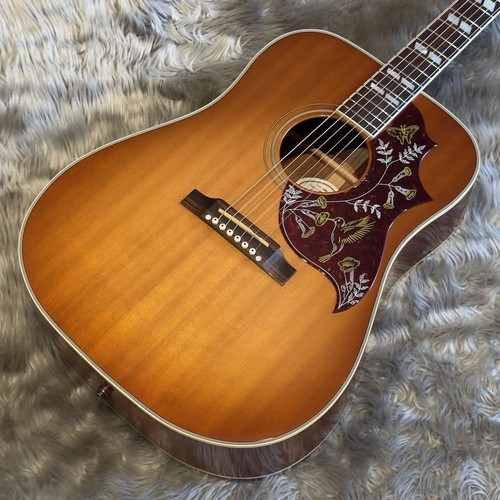 Gibson hummingbird - gibson,