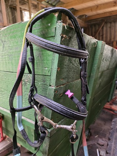 Mini shetty trense mit zügeln - shetty,