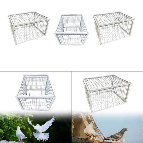 Vogelfalle käfig humane - vogelfalle,