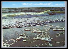 Ansichtskarte Die Nordsee -