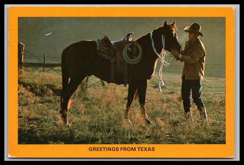 Ansichtskarte texas usa - texas,