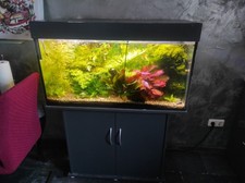 Aquarium komplett (alle