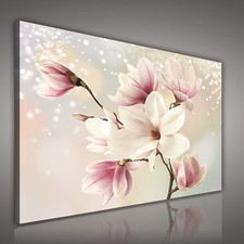 LEINWANDBILD BILD BILDER CANVAS BLUMEN ORCHIDEE CREME ROSA MAGIE 3FX2134O1