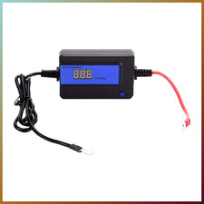 Auto Pulse Batterie Desulfator