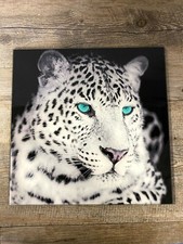 Bild*Gemälde*Wandbild*Glasbild*Leopard weiß*