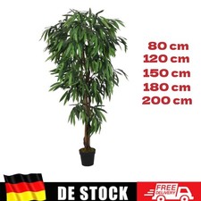 Mangobaum Künstlich