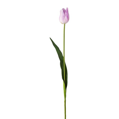 Kunstblume seidenblume eine - kunstblume,,