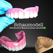 Premium Lehrmodell Modell Kit